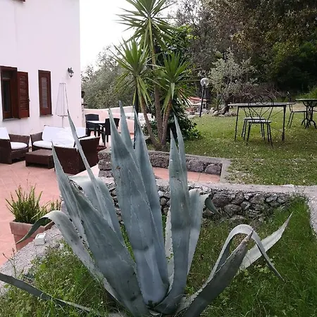 Bed & Breakfast Il Carrubo Maratea